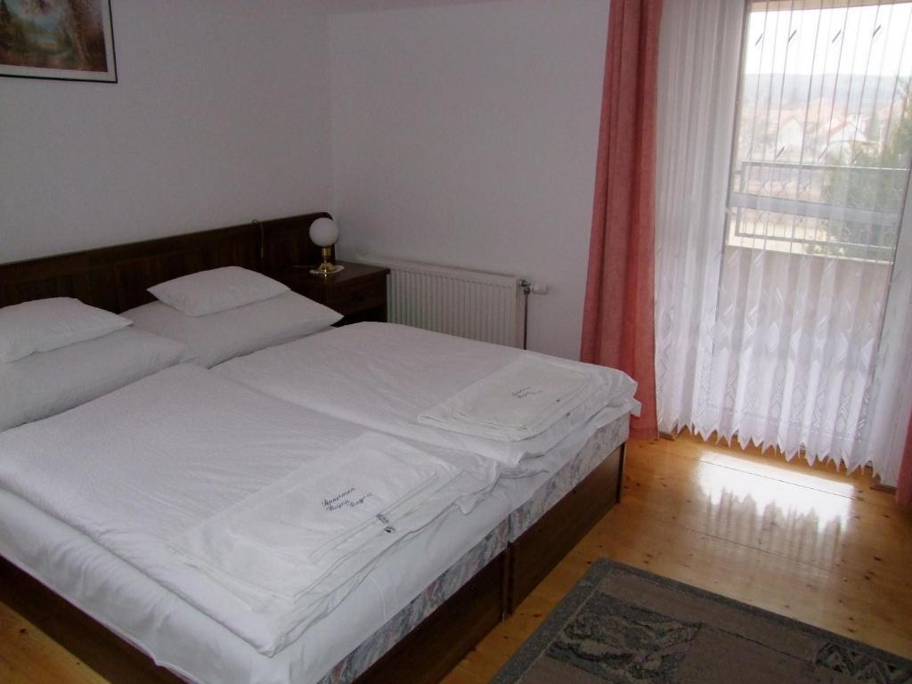 Rajna Apartmanhaz Bogacs Phòng bức ảnh