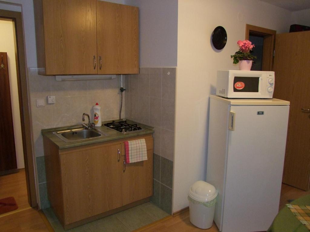 Rajna Apartmanhaz Bogacs Phòng bức ảnh